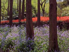 -苏州河梦清园环保主题公园