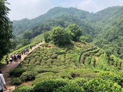 -西湖风景区十里琅珰-五云山
