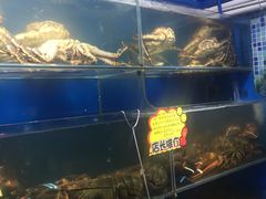 -蚝专家(北滘店)
