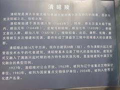 -北陵公园