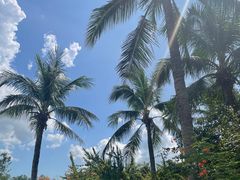 -深圳湾公园(南山区)