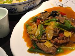 -陈麻婆豆腐总店