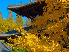 -径山寺