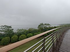 -江滩湿地公园