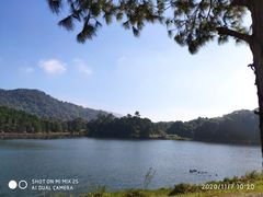 -海南热带雨林国家公园吊罗山景区