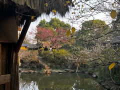 -绍兴鲁迅故里·沈园景区
