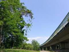 -白鹭湾湿地公园