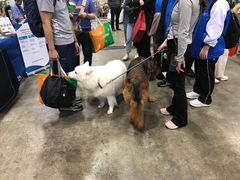-香港会议展览中心演讲厅