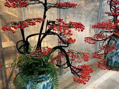 -三圣花乡旅游区