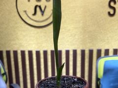 -学习谷日语培训日本留学·多语种外语教学(海淀人大分部)