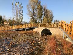 景点-野鸭湖国家湿地公园