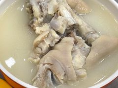 -彭记老妈蹄花(文化路店)