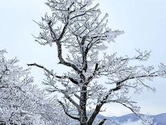 -安吉龙王山风景区
