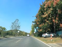 -石塘人家