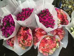 -循礼门鲜花花市(武汉循礼门店)