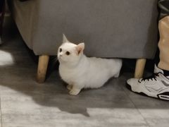 -有何Book(六堰体育馆店)