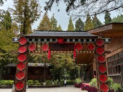 -云南民族村