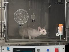 -瑞派宠物医院(锦江店)
