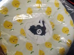 -可蒙动物医院·猫科·骨科中心(首义路店)