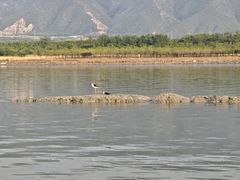 -盐湖景区