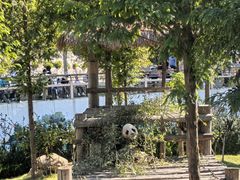 -西霞口神雕山野生动物世界