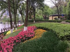 -重庆彩云湖湿地公园