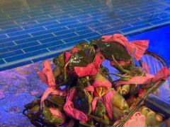 -辣螃铠盆盆蟹大排档(海昌店)
