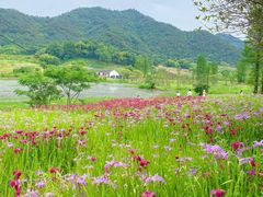 -东钱湖旅游度假区