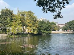 -荔湾湖公园