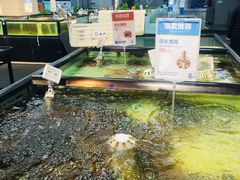 -盒马渔市餐厅