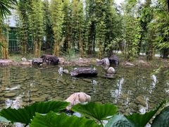 -水底山庄园温泉