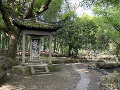-兰亭风景区