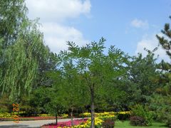 景点-阿尔丁植物园