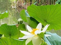 -北京动物园-畅观楼