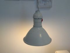 电灯-明堂青年旅舍