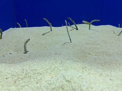 -上海海洋水族馆
