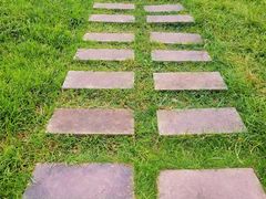 -桤木河湿地公园