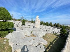 -原山国家森林公园