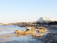 -日照世帆赛基地