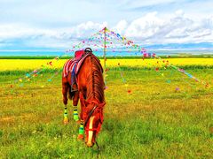 -青海湖国家重点风景名胜区