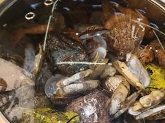 -船梆煮•蒸汽海鲜·炉火烤肉(五四广场店)