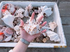 -南汇新城海滩