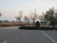 -绿堤公园