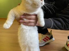 -柯斗斗主题餐厅·狗咖·围炉煮茶·茶饮(国瑞升平里店)