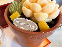 -哈根达斯(龙湖时代天街店)