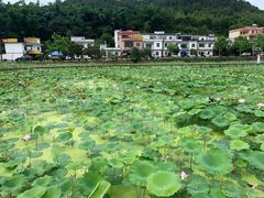 -红山村