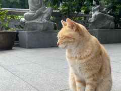 -福州开元寺