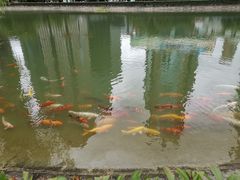 -陆家嘴中心绿地
