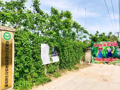 -大自然农场蔬菜草莓采摘园