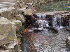 -兴福老面馆(寺路街店)